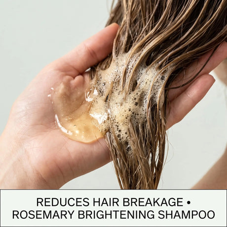 Gleamxi Rosemary Shampoo Gently Nourishing Scalp Care Anti Loss Strengthen Repair Damaged Oil Control Deep Cleaning Hair Growth Shampoo