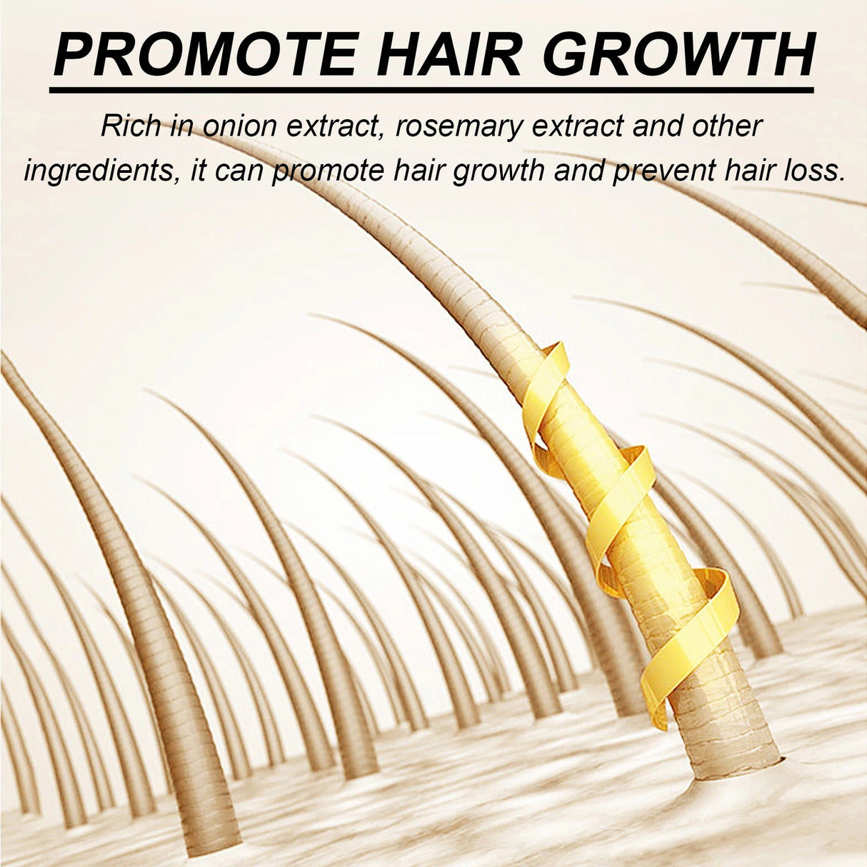 Biotin Rosemary Shampoo Care Set Shampoo Conditioner For All Hair Types Hair Shampoo Paraben Free Healthy Hair Care Gift
