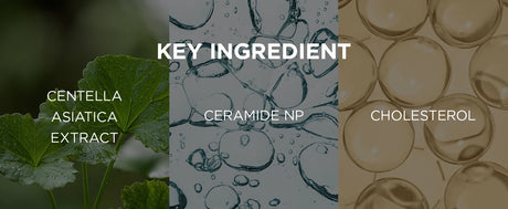 SKIN1004 Madagascar Centella Soothing Cream Korean Face Barrier Repair Hydrating Moisturizer Cica Cream Korean Skin Care 75ml