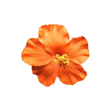 Headwear Hawaiian Flower Hair Clips Side Bangs Clip Hair Accessories Artificial Flower Clips Suitable Vacation Beach Parties