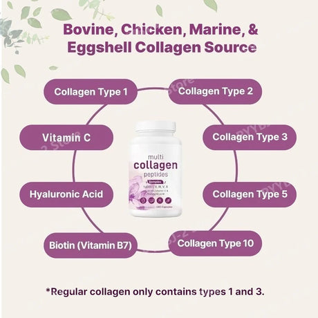 Multi Collagen Capsules 240ct Type I II III V X with Biotin Hyaluronic Acid Vitamin C Hydrolyzed Protein Supplement