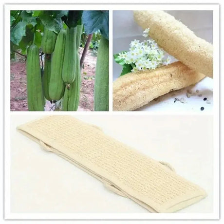 Exfoliating Body Scrubber - Soft Washcloth for Dead Skin Removal & Dry Brushing | Long Bath Sponge with Strap for Shower & Spa