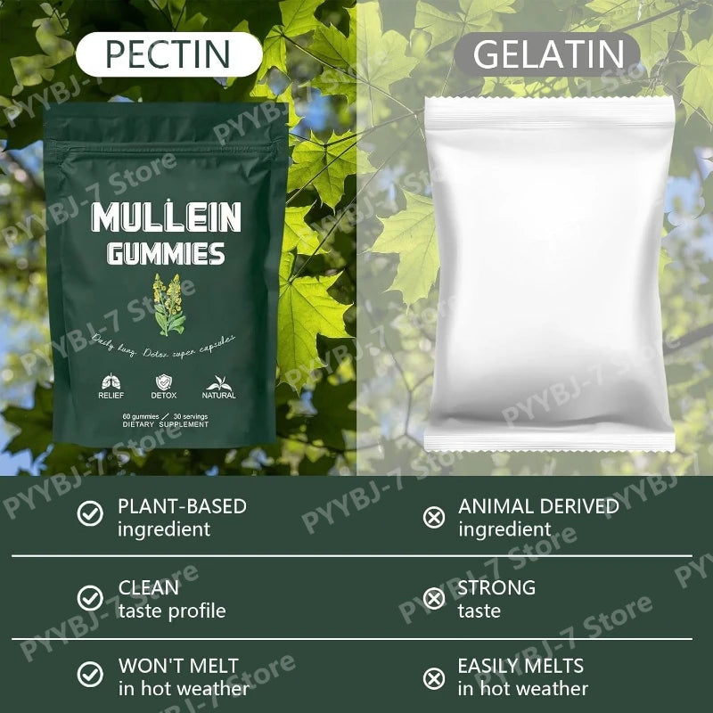 Mullein Gummies Supports Respiratory Health Pear Flavor Lung Health Sinus Relief 60 Grains Dietary Supplement