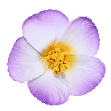 Headwear Hawaiian Flower Hair Clips Side Bangs Clip Hair Accessories Artificial Flower Clips Suitable Vacation Beach Parties