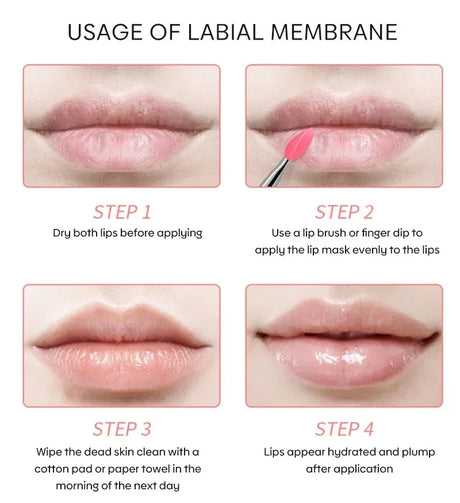 Moisturizing Lip Lines Moisturizing Lip Skin Jelly Lip Mask Moisturizing and Nourishing Repair Night Maintenance Lip Balm Care