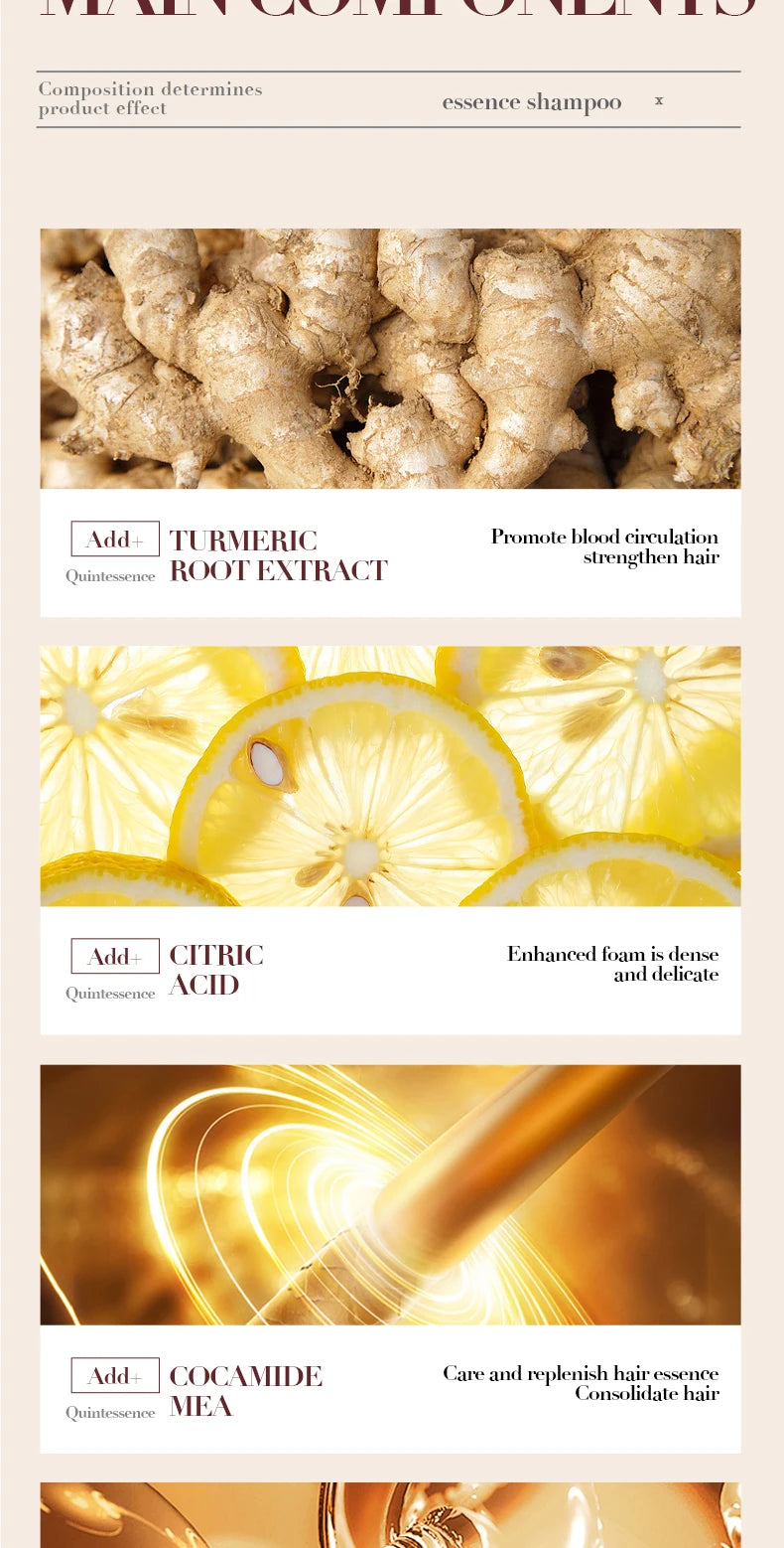 500ml Ginger Anti-Hair Loss Shampoo Long-lasting Fragrances Shampoo Deeply Moisturizing Smooth Set With Comb Gift