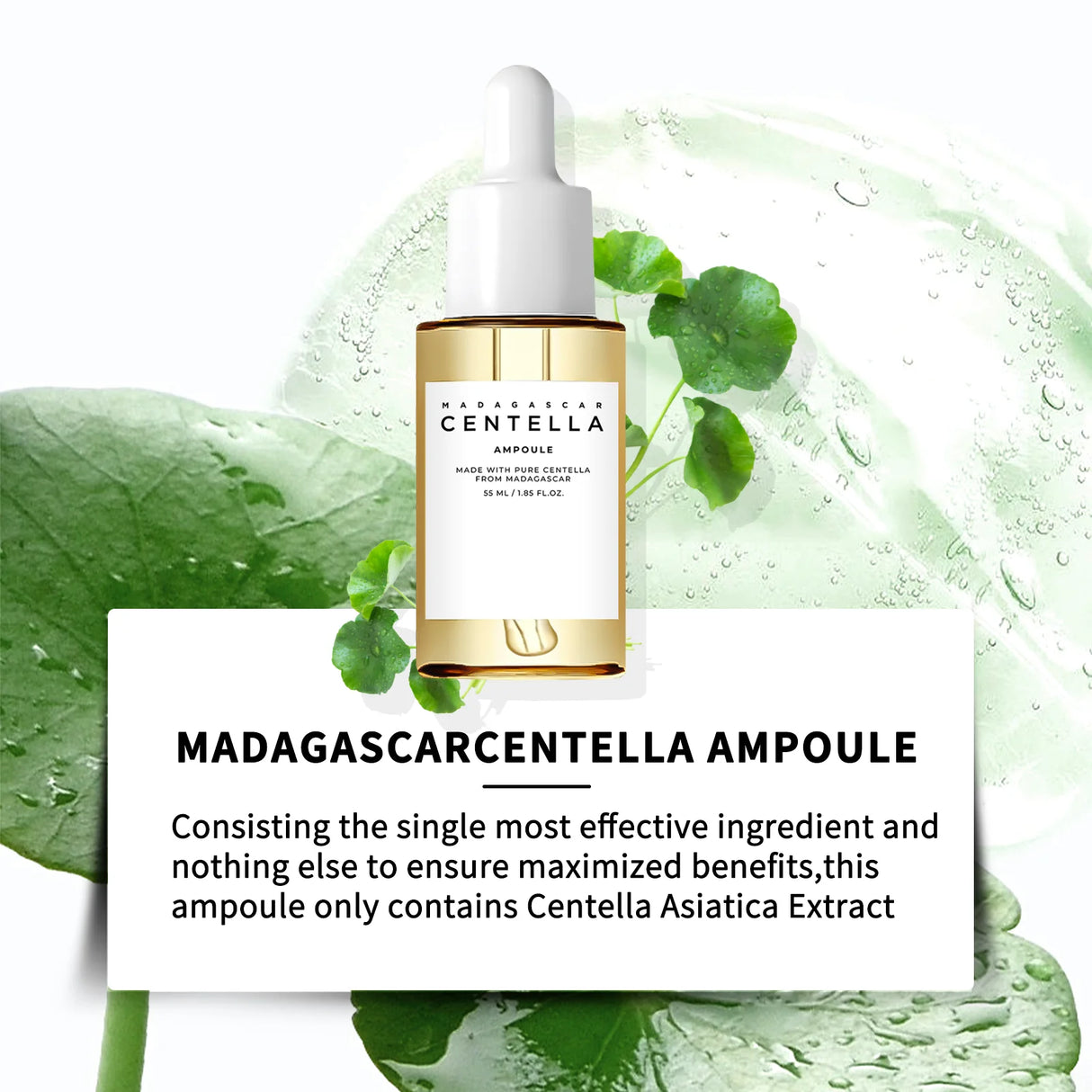 Centella Asiatica Soothing Serum 55ml - Madagascar Formula Calms Sensitive Skin, Supports Acne Care & Deeply Moisturizes.
