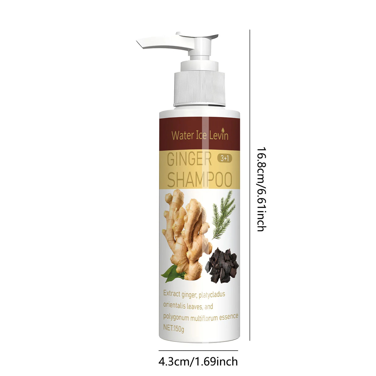 Ginger Regrowth Shampoo Anti Hair Loss Oil Control Dandruff Removal Moisturiz Nourish Scalp Repair Damaged Hair Growth Shampoo