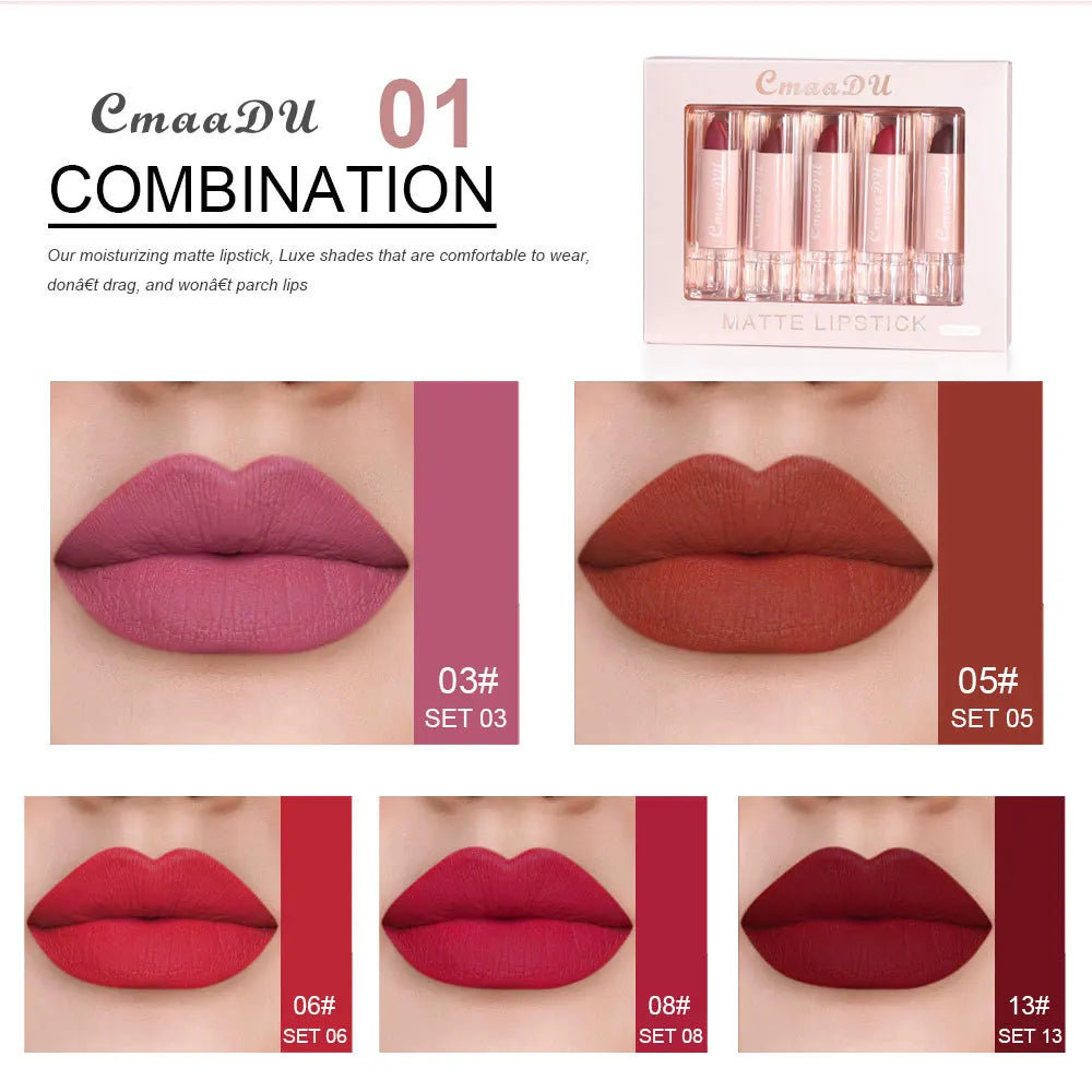 Velvet Matte Lipstick Set 5pcs Long Lasting Waterproof Red Nude Lipsticks Non Stick Cup Makeup Cosmetics Collection