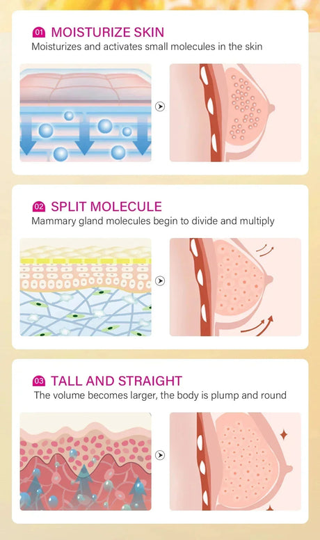 Breast Enlargement Cream Butt Lift Up Firm Essential Oil Big Ass Enhance Butt Breast Plump Growth Tighten Shaping Sexy Body Care
