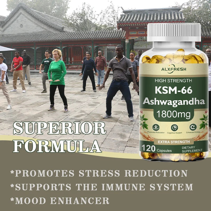 Ashwagandha Capsules Support Antioxidant Lipid-lowering Stress-relief Improve Sleep Enhance Immunity Increase Energy and Focus