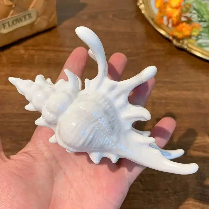 1pc seaside vacation style acrylic sea shell hair clip high-end feeling bun shark clip versatile temperament hair accessory