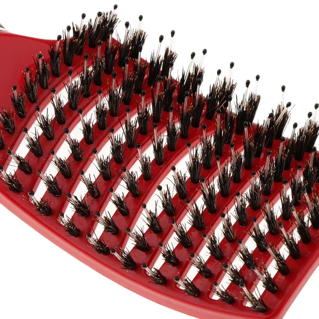Salon Hairdressing Nylon Bristle Massage Comb for Women Wet Curly Hair Styling Tool, Suitable for Wet Hair Styling and Daily Use