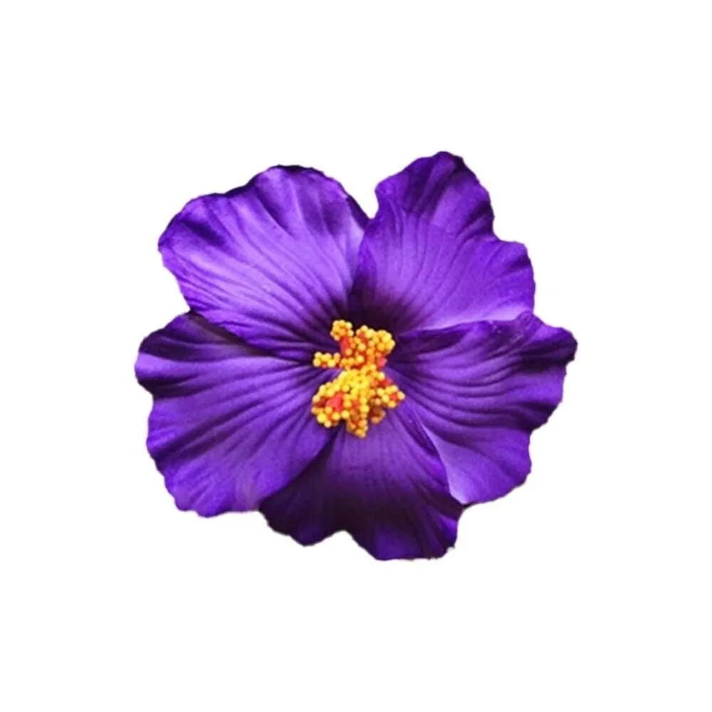 Headwear Hawaiian Flower Hair Clips Side Bangs Clip Hair Accessories Artificial Flower Clips Suitable Vacation Beach Parties
