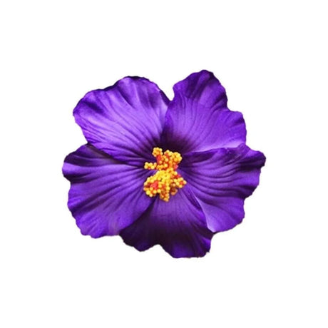 Headwear Hawaiian Flower Hair Clips Side Bangs Clip Hair Accessories Artificial Flower Clips Suitable Vacation Beach Parties