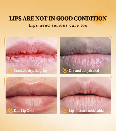QIBEST Honey Lipstick Nourishing Lip Balm Moisturizing Tinted Lip Plumping Balm Smooth Enhancing Natural Color Lip Care Makeup