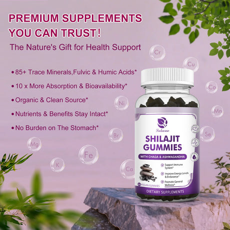 100% Himalaya Pure Shilajit Gummies 13 in 1 Original Mineral Health Supplement Non-GMO Brain Memory Cognitive Energy Health