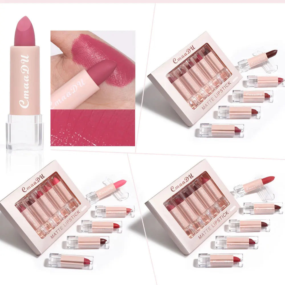 Velvet Matte Lipstick Set 5pcs Long Lasting Waterproof Red Nude Lipsticks Non Stick Cup Makeup Cosmetics Collection