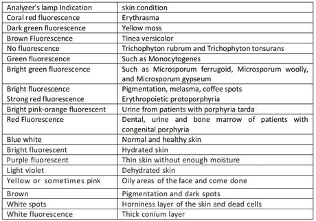 NEW Professional Dermatoscope Skin Medical Magnifier Detection Woods Lamp UVA Lamp For Vitiligo Detection