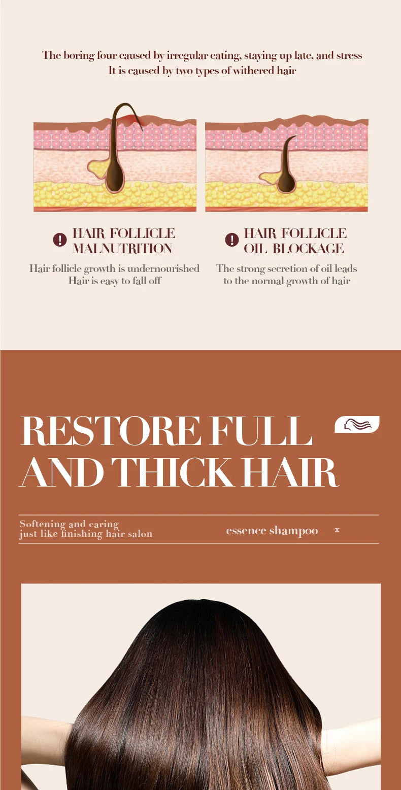 500ml Ginger Anti-Hair Loss Shampoo Long-lasting Fragrances Shampoo Deeply Moisturizing Smooth Set With Comb Gift