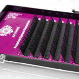 Abonnie B/C/CC/D Classic Individual Eyelashes Extensions Fluffy Volume Lashes Supply All Size Cilios L