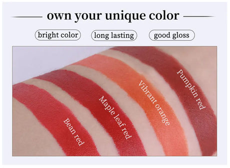 4-Lasting Stick Waterproof Lip Set - Long-Lasting Matte Lipstick with Transparent Finish - Perfect Valentine's Day Gift for Her