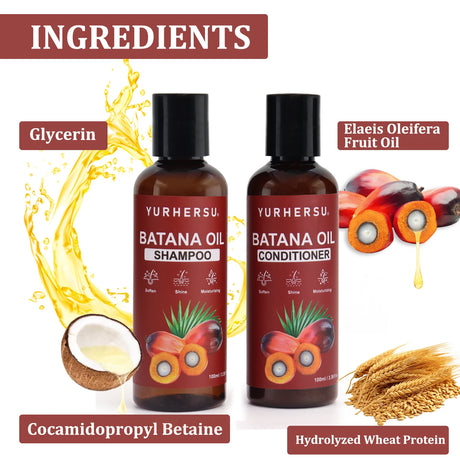 Batana Oil Shampoo & Conditioner Set Natural Batana Extract Deep Nourish Smooth Frizzy Split Ends Boost Soft Shiny Hair Gentle Hydrating Scalp Care Kit For Curly Straight Color Treated Hair Men Women Daily Use