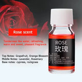 1/7PCS Air Freshener Car Perfume Refill Natural Plant Essential Oil Aroma Diffuser Fragrance Humidifier Essential Oil Freshener