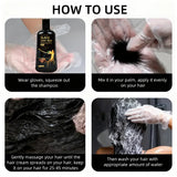 Pure Black Hair Dye Shampoo 3in1. Long Lasting Rich Color, Gray Coverage. Organic Ginger Polygonum Extracts. Gentle Effective.