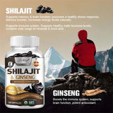 Shilajit - Natural Energizer To Rejuvenate The Body, Improve Mental Clarity and Boost The Immune System