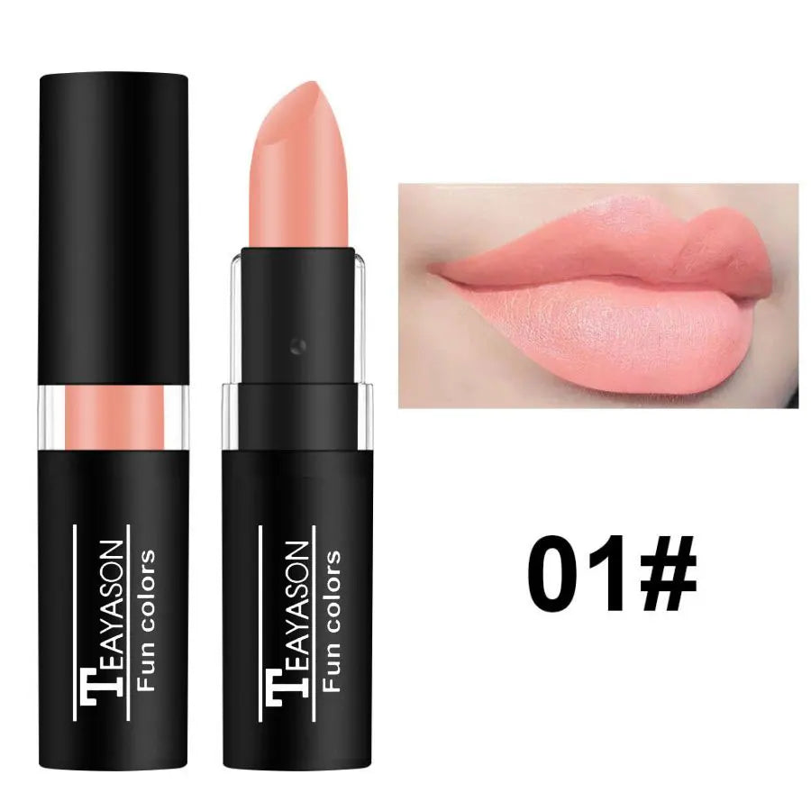 TEAYASON 12 Color Waterproof Lasting Sexy Red Lipstick Matte Lipstick Cosmetics Lip Gloss Waterproof Long-lasting