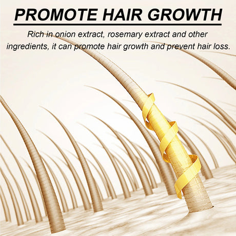 Biotin Rosemary Shampoo Care Set Shampoo Conditioner For All Hair Types Hair Shampoo Paraben Free Healthy Hair Care Gift