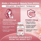 Collagen Complex Gummies, with Biotin & Vitamin C, Supports Skin, Hair, Nail, Joint Wellness, Gut Health & Digestion, Anti-Aging