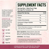 Creatine & Collagen Powder Stick Packs Supports Strength Recovery & Skin Health – Daily Nutrition Supplement  20Servings Per Bag