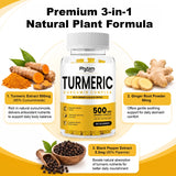 Turmeric Curcumin Gummies With Ginger And Black Pepper Supports Healthy Joint Wellness Cardiovascular Wellness And Overall Body Wellness Supplement