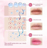Remove Dark Lip Scrub Fast Lightening Pink Lip Exfoliating Fade Lip Line Dead Skin Moisturizer Korean Care Products Beauty Healt