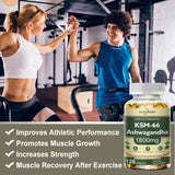 Ashwagandha Capsules Support Antioxidant Lipid-lowering Stress-relief Improve Sleep Enhance Immunity Increase Energy and Focus