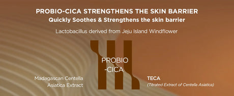 SKIN1004 Centella Probio-Cica Cream Moisturizer for Dry Sensitive Skin Probiotics Cica Barrier Repair Cream Korean SkinCare 50ml