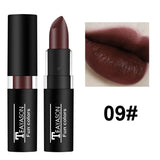 TEAYASON 12 Color Waterproof Lasting Sexy Red Lipstick Matte Lipstick Cosmetics Lip Gloss Waterproof Long-lasting