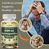Ashwagandha Capsules Support Antioxidant Lipid-lowering Stress-relief Improve Sleep Enhance Immunity Increase Energy and Focus