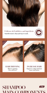 500ml Ginger Anti-Hair Loss Shampoo Long-lasting Fragrances Shampoo Deeply Moisturizing Smooth Set With Comb Gift