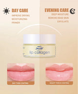 Korea Lips Care Mask Reduce Lip Wrinkles Remove Dead Skin Moisturizing Sleep Lip Balm Long-lasting Nourishing Lip Care Product