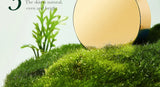 SADOER Tea Tree Acne Removing Face Cream Anti Acne Hydrating Oil Control Moisturizing Facial Creams Face Skin Care Products