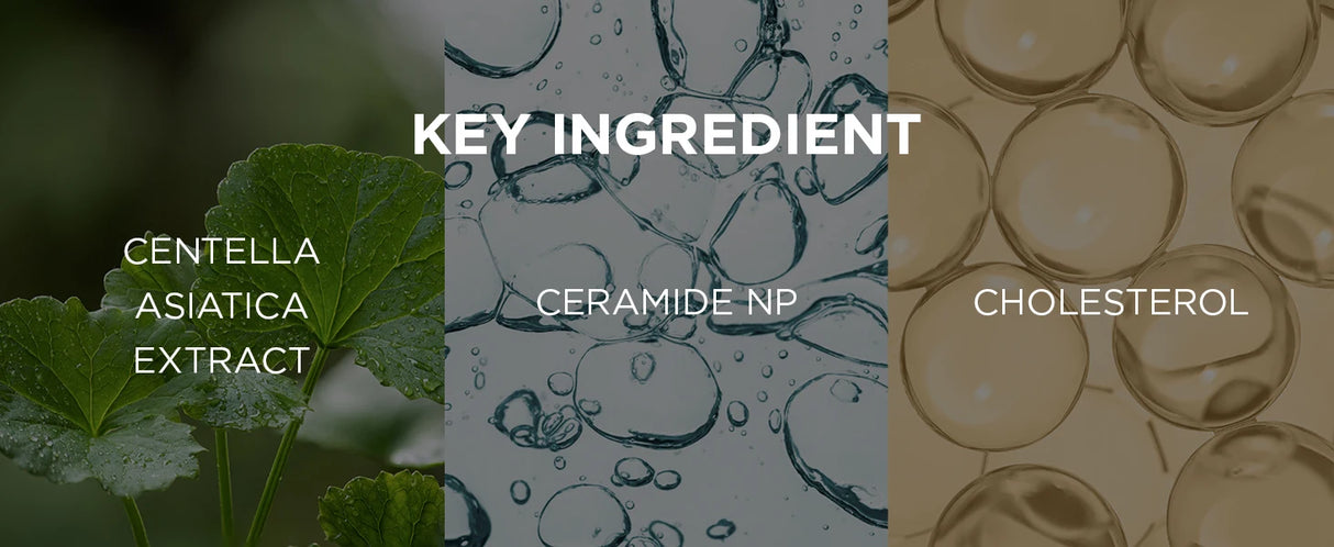SKIN1004 Madagascar Centella Soothing Cream Korean Face Barrier Repair Hydrating Moisturizer Cica Cream Korean Skin Care 75ml
