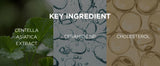 SKIN1004 Madagascar Centella Soothing Cream Korean Face Barrier Repair Hydrating Moisturizer Cica Cream Korean Skin Care 75ml