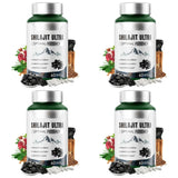 Shilajit Ultra with L-Arginine for Natural Energy and Vitality 60 Capsules Non-GMO  Endurance Stamina Antioxidant Supplement