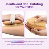 Lymphatic contour facial brush, pig mane body dry brush, exfoliating and blood activating body massage brush, facial brush