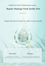 ZHANGGUANG 101 500G Anti Hair Loss Shampoo Repair Damaged Hair Smooth Hair Nourishing Conditioner