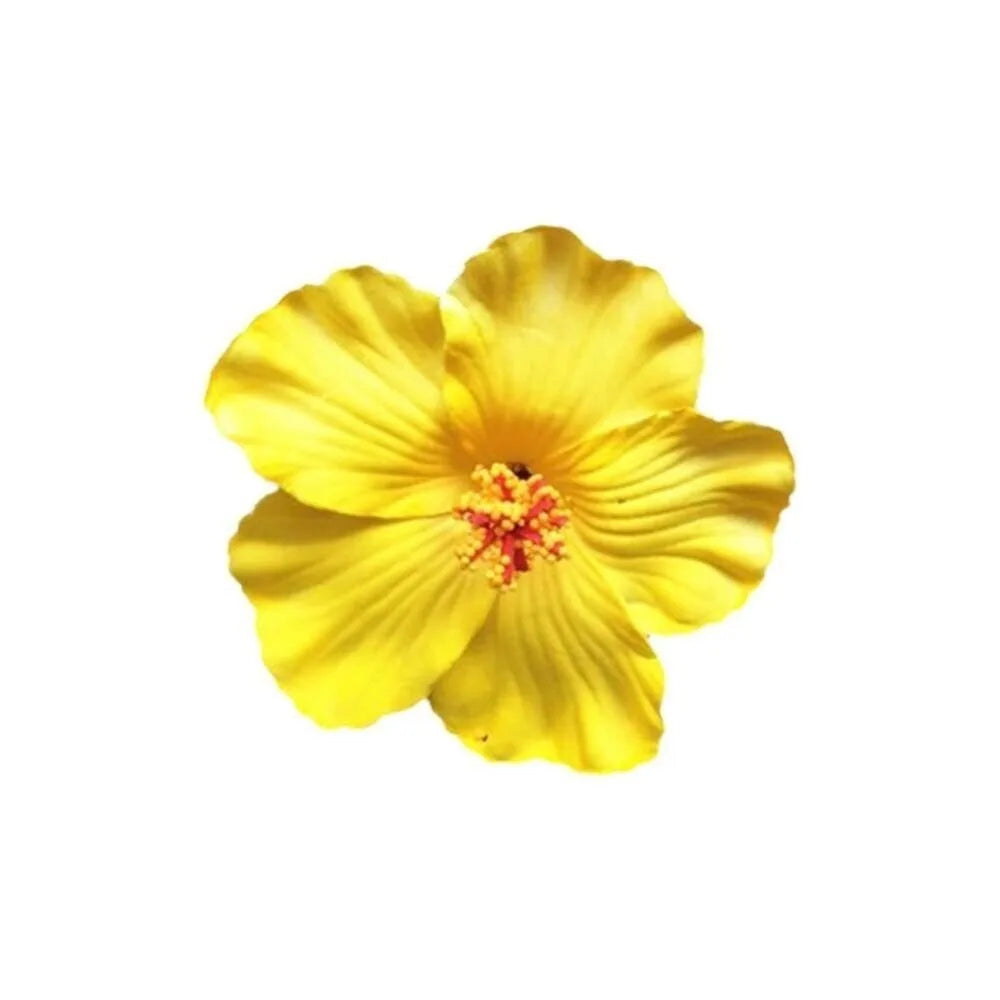 Headwear Hawaiian Flower Hair Clips Side Bangs Clip Hair Accessories Artificial Flower Clips Suitable Vacation Beach Parties