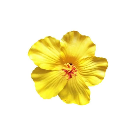 Headwear Hawaiian Flower Hair Clips Side Bangs Clip Hair Accessories Artificial Flower Clips Suitable Vacation Beach Parties